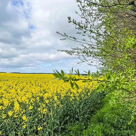 Kranich By Interhome