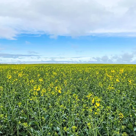 Kranich By Interhome *