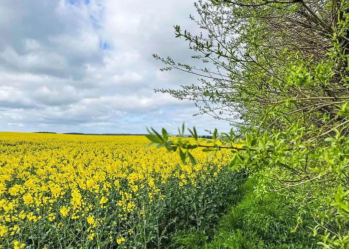 Kranich By Interhome