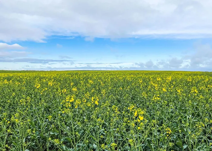 Kranich By Interhome *